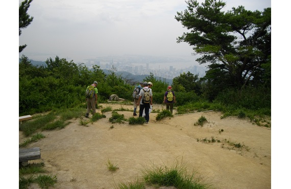 菊水山山頂