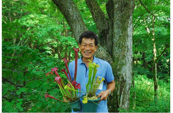 食虫寄せ植え2022.6