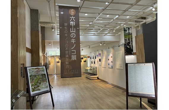 ７.キノコ展示説明2024.9