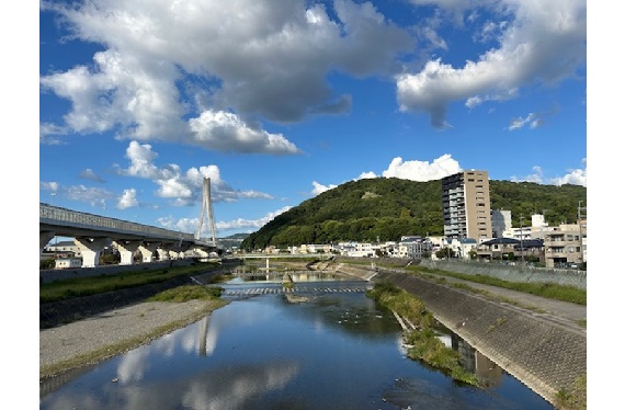 「猪名川のほとり、呉服橋から五月山を望む」2024.11