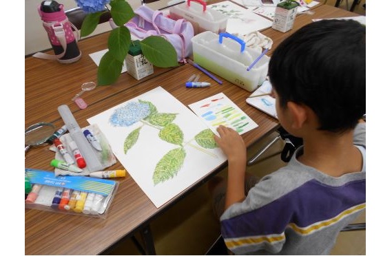11植物画教室2025.5 11植物画教室2025.5