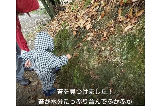 4かるがも紹介2025.5 4かるがも紹介2025.5