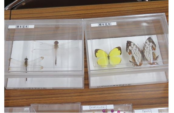 6生き物好き集まれ2025.6