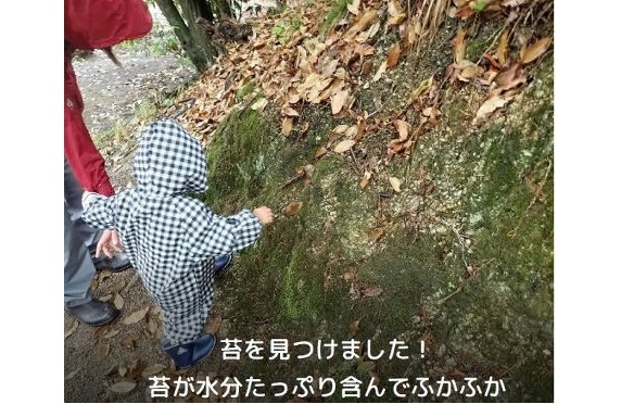 4かるがも紹介2025.6