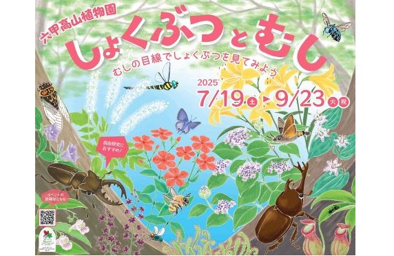2025しょくぶつとむし2025.6 2025しょくぶつとむし2025.6