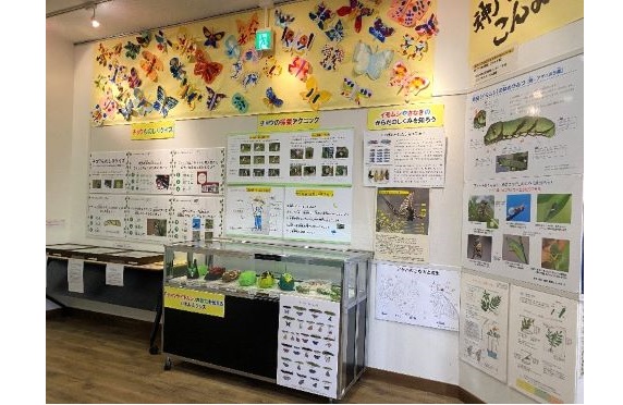 展示2025.6 展示2025.6