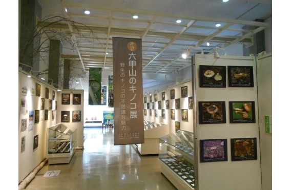 2キノコ展2025.7 2キノコ展2025.7