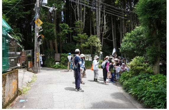 六甲山でセミの抜け殻を調べよう2025.8