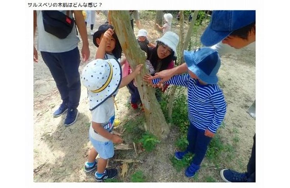 4かるがも報告2025.9