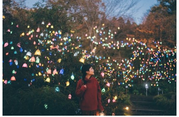 髙橋匡太《ひかりの実in SIKIガーデン》「ひかりの森～夜の芸術散歩」2025.9