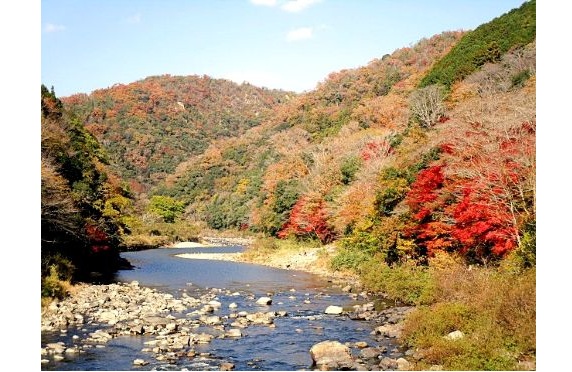 紅葉写真2025.10 紅葉写真2025.10