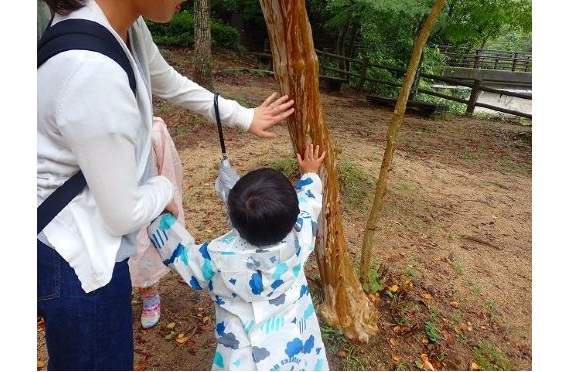 4かるがも報告2025.10