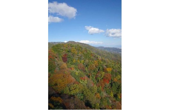 12子どもパークレンジャー2025.10 12子どもパークレンジャー2025.10