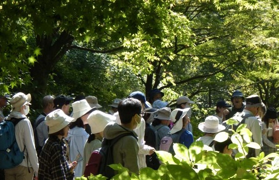 9.身近な薬草観察会～森の薬箱～2025.10