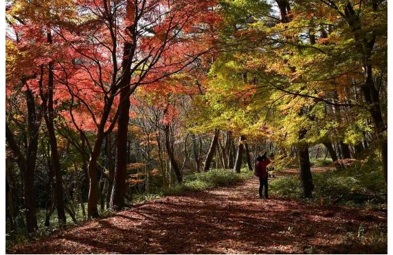07山撮り写真教室2025.10 07山撮り写真教室2025.10