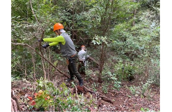 森の手入れ活動2025.11