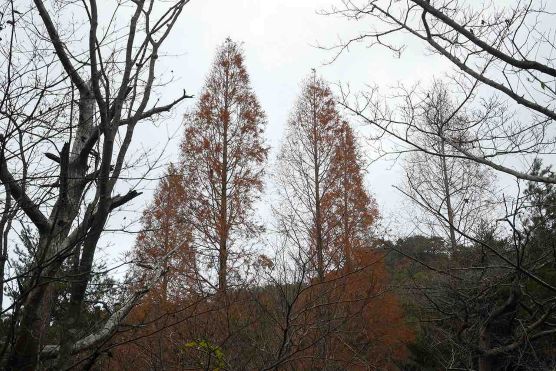 07山撮り写真教室2025.11