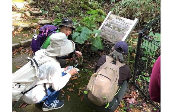 05MAYAde和ハーブ2025.11