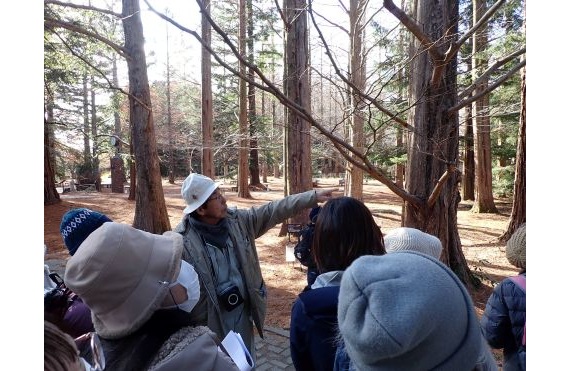 3.自然観察講座2025.11