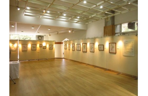 5.牧野博士に因んだ植物たちin森林植物園2025.11