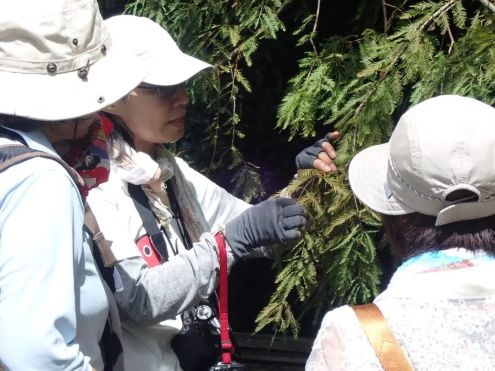 09ネイチャーガイド-s