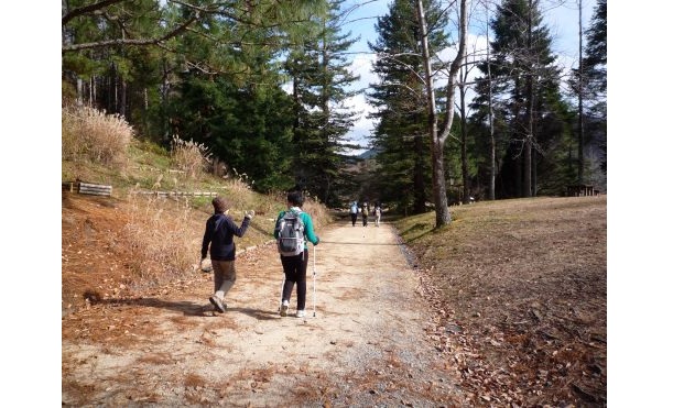 5.ウエルネスウォーキング-s