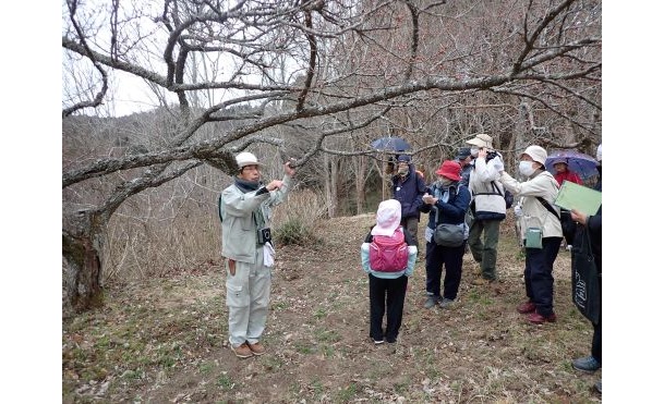 2.自然観察講座-s