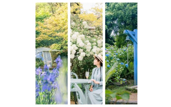 HPスマホ用サムネイル2-s