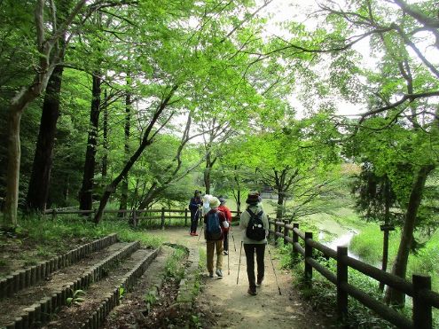 1ウエルネス紹介-s