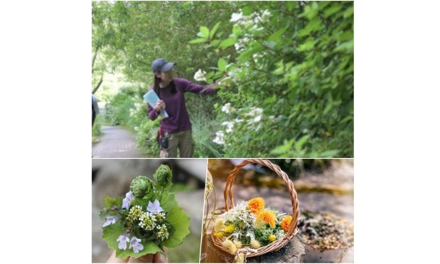 草摘み花摘みガーデンツアーs