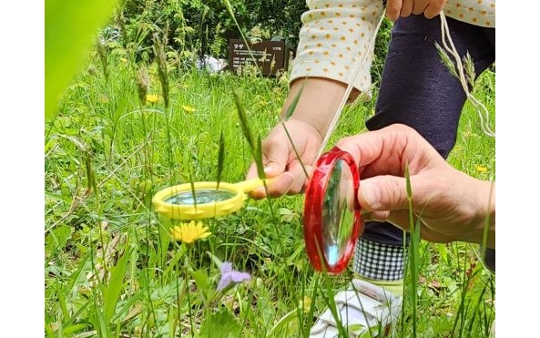 8.ネイチャーゲーム-s