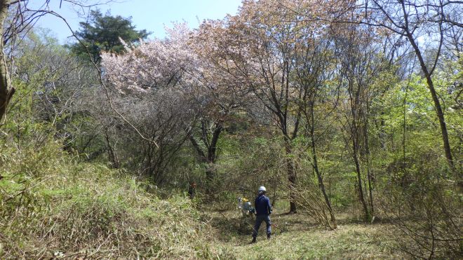 10.樹木医ガイド-s