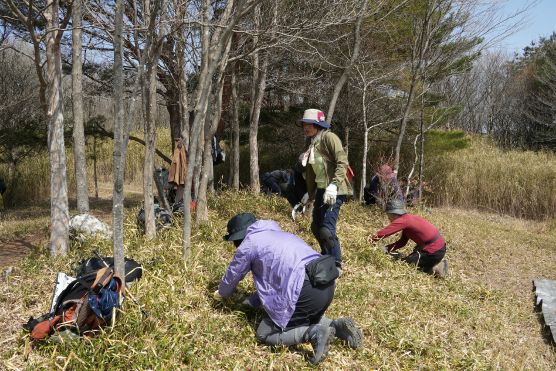 tn_東お多福山草原250405-20-s