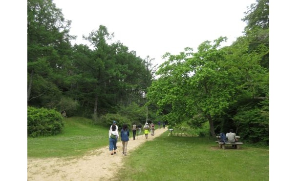 5ウエルネスウォーキング-s