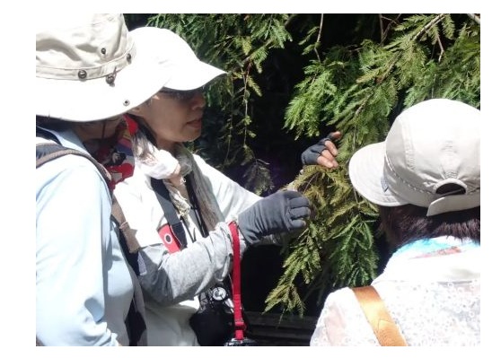 6ネイチャーガイド紹介-s