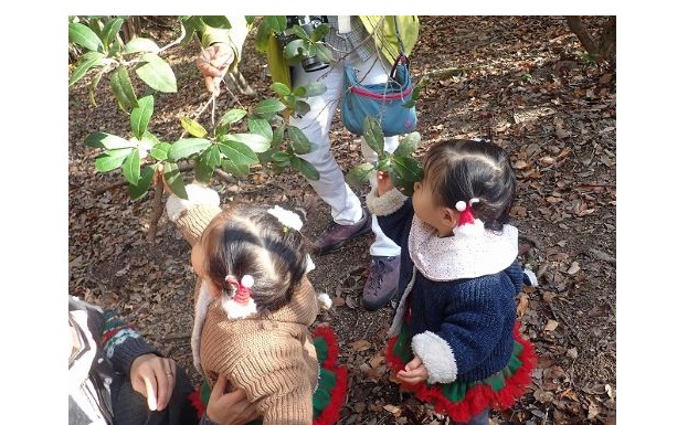 4かるがも紹介-s