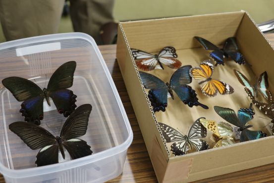 8.いきもの好き-s