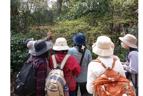 4ネイチャーガイド報告-s