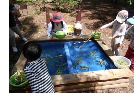 13.春の草木と遊ぼう-s