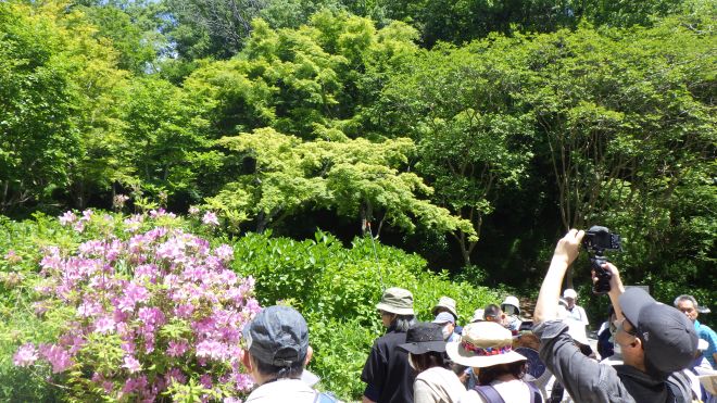 12.薬草観察会-s