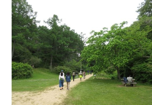 11.ウエルネスウォーキング-s