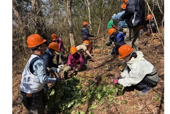 森林整備-3月例会18人参加-ｓ