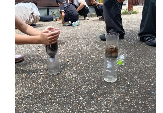 5サバイバル報告-s