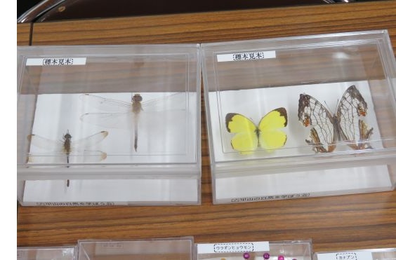 3新生き物好き集まれ-s