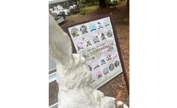 5.森とうさぎのマルシェ-s