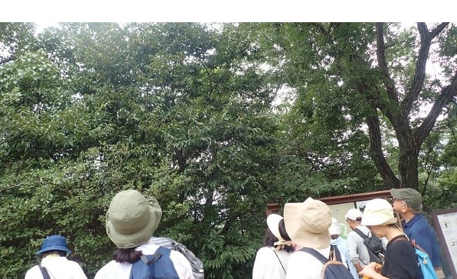 1ネイチャーガイド報告-s